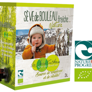 Sève de Bouleau - Cure de 21 jours