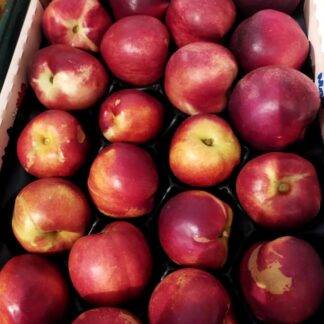 Nectarines du Roussillon